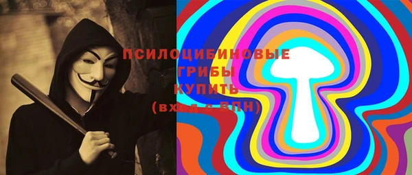 a pvp Богородицк