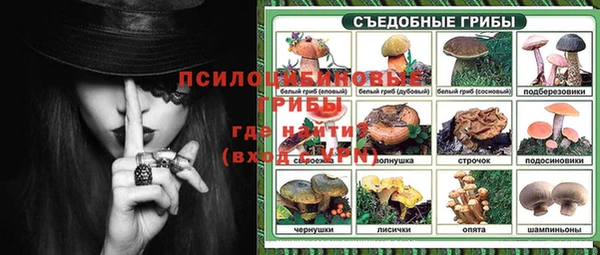 твердый Богородск