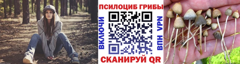 Галлюциногенные грибы мицелий  наркошоп  KRAKEN как войти  Кирс 